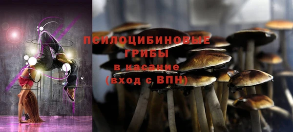 круглые Магас