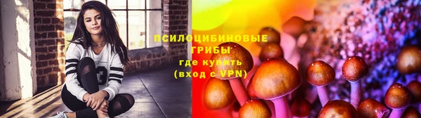 круглые Магас