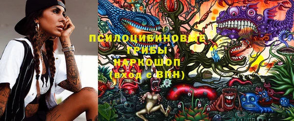 круглые Магас