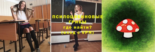 круглые Магас