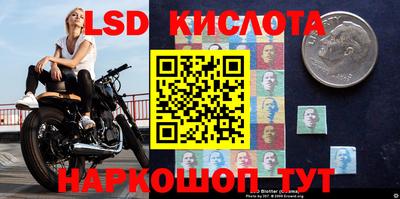мдма Гусев