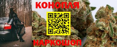 прущие крисы Бийск