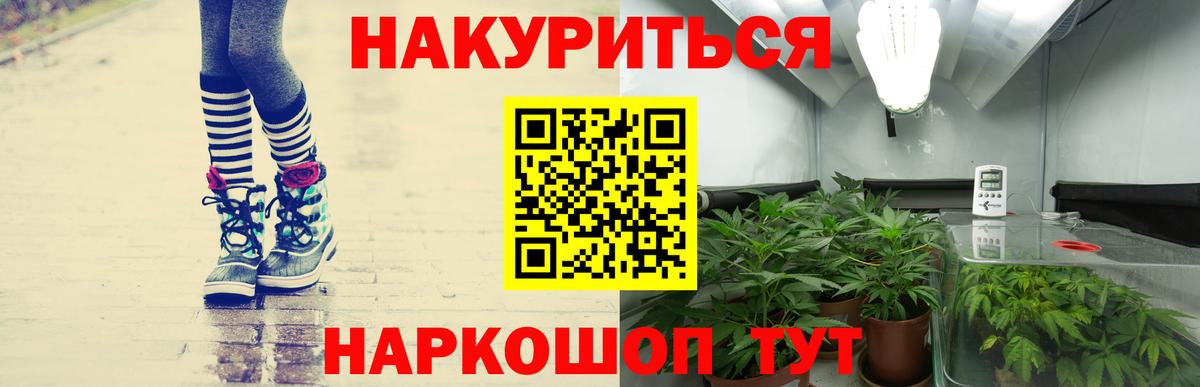 Бошки марихуана OG Kush  Канабис OG Kush  Ялуторовск  Шишки марихуана семена  Каннабис план 